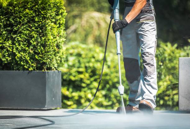 Best Animal Enclosure Cleaning  in Lehigh Acres, FL